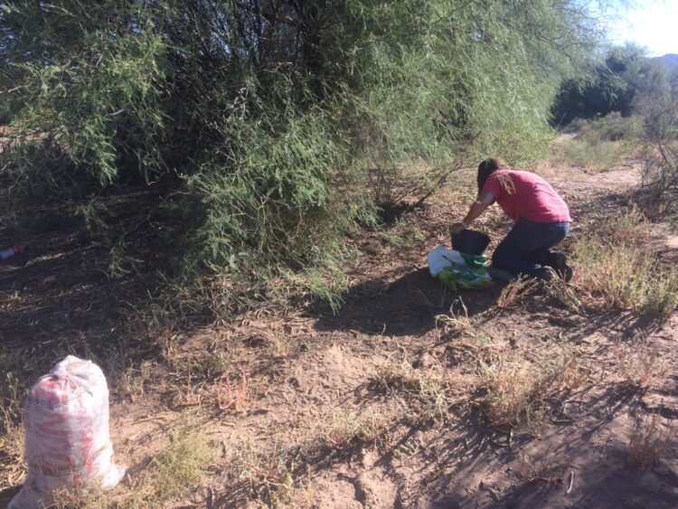Sabiduría ancestral: En San Juan la cooperativa Polok Nenu utiliza la algarroba como materia prima para elaborar alfajores