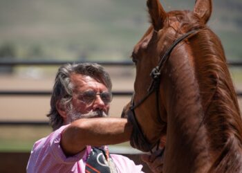 Reclamo por la Ley Ovina: “La mayoría de los productores laneros tienen ingresos por debajo de la línea de pobreza”, recordaron las Rurales de Río Negro