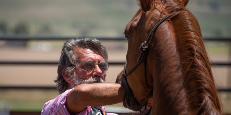 Reclamo por la Ley Ovina: “La mayoría de los productores laneros tienen ingresos por debajo de la línea de pobreza”, recordaron las Rurales de Río Negro