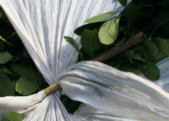 Argentina Vagancia: Las razones detrás de un título polémico