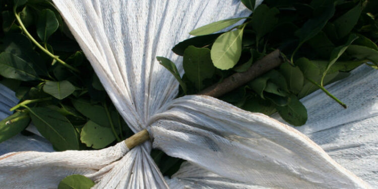 Argentina Vagancia: Las razones detrás de un título polémico