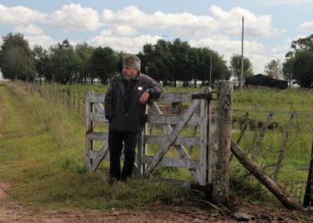 Aníbal Caminiti representa a los productores de cerezas: “Hace 10 años que no crecemos porque no están dadas las condiciones para invertir”