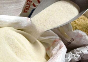 El caso Sucoin: En Tucumán desarrollaron una criptomoneda atada al precio del azúcar