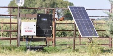 Agua que has de beber, vaca que has de pesar: ¿Cómo funciona la balanza inteligente para ganado que se prepara en el INTA?