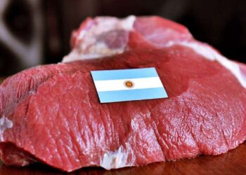 No está nada claro el alcance de los nuevos controles de Agricultura: Los grupos de ganaderos y consignatarios serían los más afectados