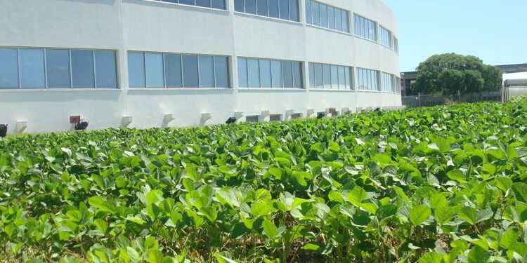 AgroEmpresas: Bioceres busca emitir bonos sustentables por 150 millones de dólares