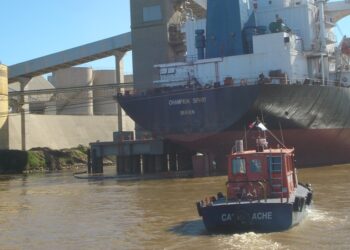 Aduana, clink caja: Las retenciones ahora se calcularán de forma automática. Y los exportadores también serán “inhabilitados” de modo exprés si no anticipan la plata