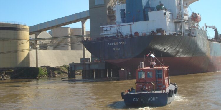 Aduana, clink caja: Las retenciones ahora se calcularán de forma automática. Y los exportadores también serán “inhabilitados” de modo exprés si no anticipan la plata