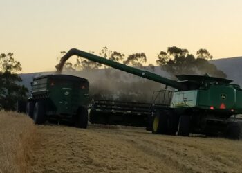 Preocupadas por las bajas ventas de tractores y cosechadoras, las grandes marcas le sugirieron al gobierno impulsar un Plan Canje de maquinaria agrícola