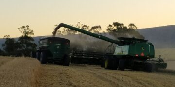 Preocupadas por las bajas ventas de tractores y cosechadoras, las grandes marcas le sugirieron al gobierno impulsar un Plan Canje de maquinaria agrícola