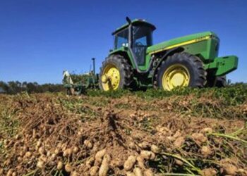 Insisten en que debe regularse el cuidado del suelo ante el avance del maní sobre territorio bonaerense