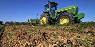 Insisten en que debe regularse el cuidado del suelo ante el avance del maní sobre territorio bonaerense