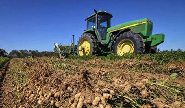 Insisten en que debe regularse el cuidado del suelo ante el avance del maní sobre territorio bonaerense