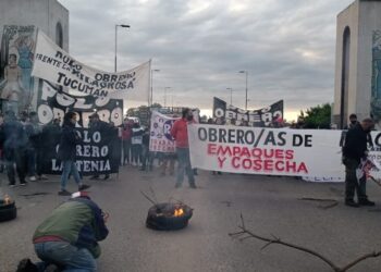 Arde Tucumán: autoconvocados paralizan la cosecha de limones y transportistas amedrentan a productores para forzar una suba de tarifas