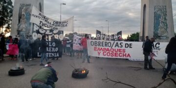 Arde Tucumán: autoconvocados paralizan la cosecha de limones y transportistas amedrentan a productores para forzar una suba de tarifas