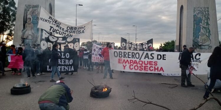 Arde Tucumán: autoconvocados paralizan la cosecha de limones y transportistas amedrentan a productores para forzar una suba de tarifas