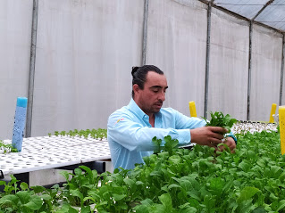 El agrónomo Diego Benítez asesora a productores en el manejo de bioinsumos: “No hay una receta mágica para todo”, avisa