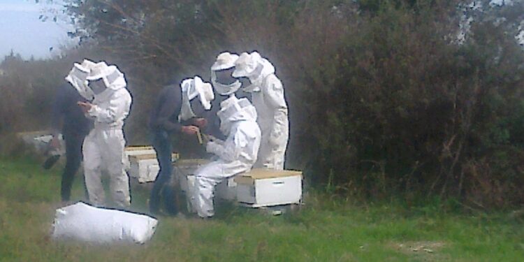 La Escuela Agrotécnica de Gobernador Maciá pudo agrandar el patio: Recibió 118 hectáreas que serán utilizadas para producir con los alumnos