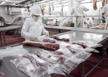 Shhh… Qué no se entere Paula: En el primer trimestre las exportaciones de carne vacuna crecieron un 23,5%