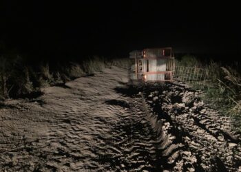 La historia detrás de la foto: el santafesino Juan Manuel Durá volcó con sus vacas por el mal estado de los caminos y asegura que “es frustrante producir en nuestra zona”