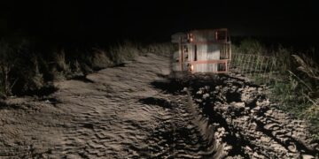 La historia detrás de la foto: el santafesino Juan Manuel Durá volcó con sus vacas por el mal estado de los caminos y asegura que “es frustrante producir en nuestra zona”