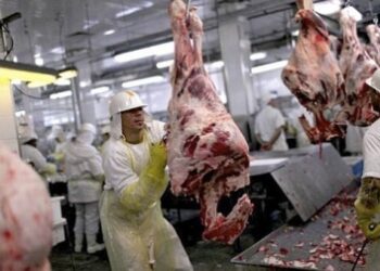 Un requiem para la media res: Confirman que la carne no podrá venderse en piezas de más de 32 kilos desde el año próximo