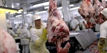 Un requiem para la media res: Confirman que la carne no podrá venderse en piezas de más de 32 kilos desde el año próximo