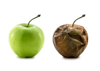 Fruta marchita: Un informe muestra el largo pero constante proceso de decadencia de la fruticultura argentina