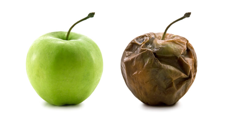 Fruta marchita: Un informe muestra el largo pero constante proceso de decadencia de la fruticultura argentina