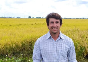 Quique García: “De chico he llegado a tener una arrocera en miniatura sembrada en el patio de mi casa”