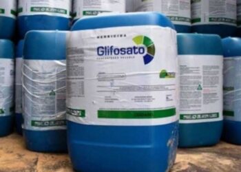 ¿Mirá si la pegamos? Está en marcha una intrigante y prometedora investigación para reducir la dependencia de la agricultura al glifosato