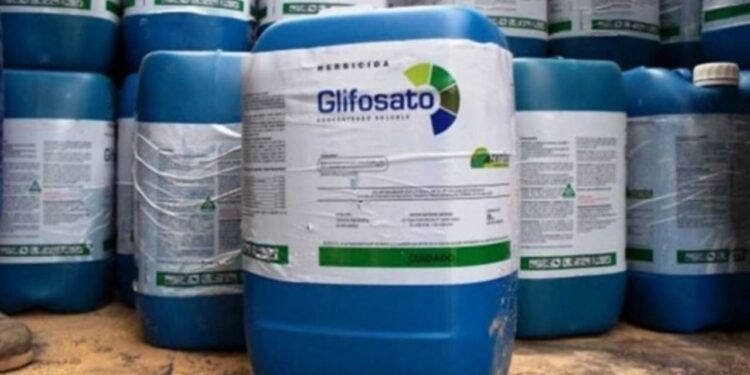 ¿Mirá si la pegamos? Está en marcha una intrigante y prometedora investigación para reducir la dependencia de la agricultura al glifosato