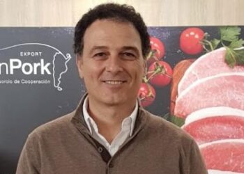 La Argentina podría duplicar sus exportaciones de carne porcina en solo dos años: Llegarían a 50 mil toneladas en 2021