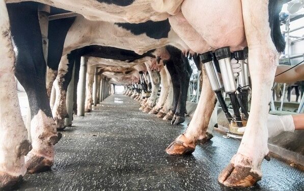 Renatre e INTA inician este viernes un ciclo de capacitación para evitar accidentes y mejorar las prácticas en los tambos