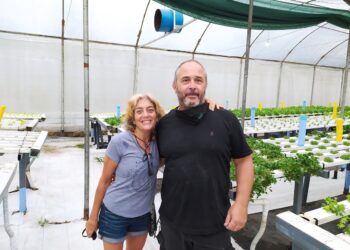 Carlos y Gabriela comenzaron a hacer hidroponia casi de casualidad y ahora son expertos: “Acá las plantas están en un spa, no se estresan y crecen 40% más rápido que en tierra”