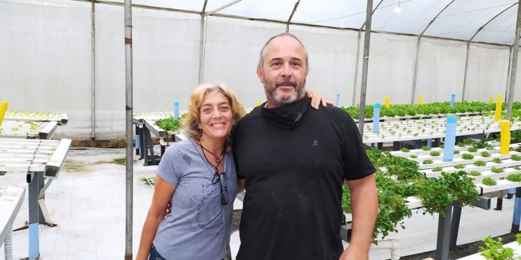 Carlos y Gabriela comenzaron a hacer hidroponia casi de casualidad y ahora son expertos: “Acá las plantas están en un spa, no se estresan y crecen 40% más rápido que en tierra”