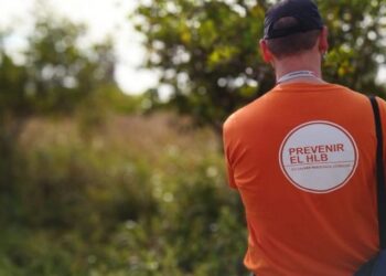 El HLB ya se detectó en seis provincias: Desde que ingreso al país en 2012 aparecieron casi 700 plantas enfermas