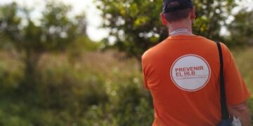 El HLB ya se detectó en seis provincias: Desde que ingreso al país en 2012 aparecieron casi 700 plantas enfermas