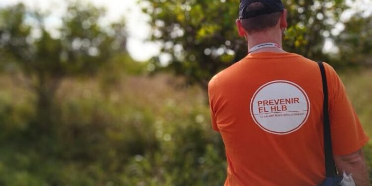 El HLB ya se detectó en seis provincias: Desde que ingreso al país en 2012 aparecieron casi 700 plantas enfermas