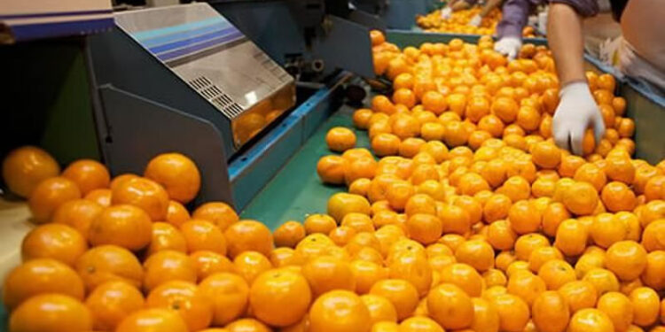 Van seis meses, empieza la cosecha, y todavía no se reglamentó la Ley de Emergencia Citrícola