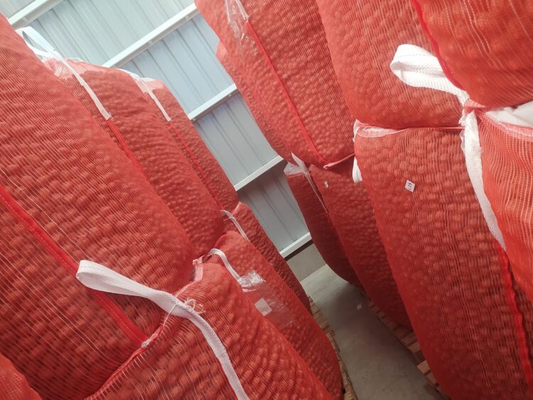 Una empresa de transporte invirtió fuerte en el agro: El proyecto Qnuts parece ir a contramano, pero no