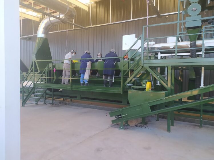 Una empresa de transporte invirtió fuerte en el agro: El proyecto Qnuts parece ir a contramano, pero no