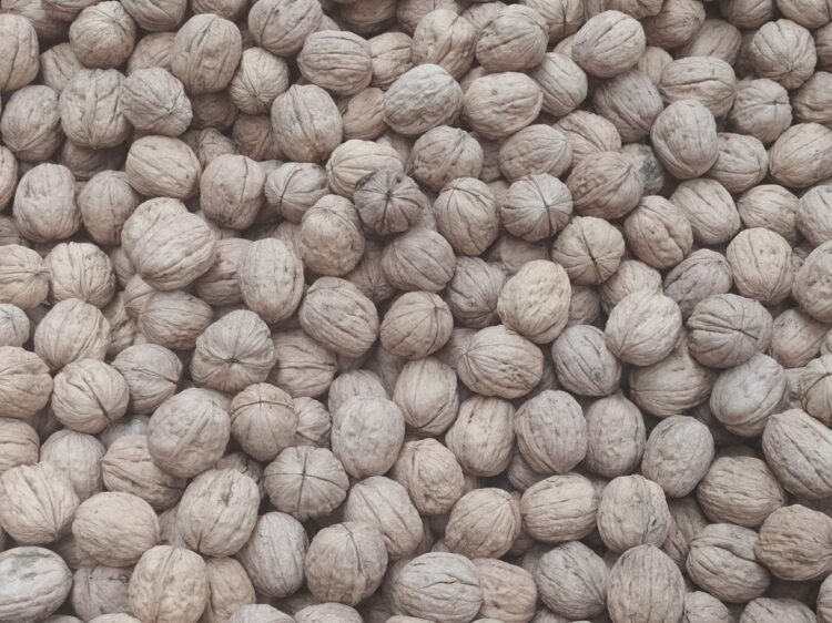 Una empresa de transporte invirtió fuerte en el agro: El proyecto Qnuts parece ir a contramano, pero no