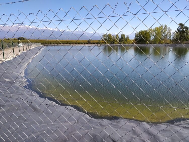 Una empresa de transporte invirtió fuerte en el agro: El proyecto Qnuts parece ir a contramano, pero no