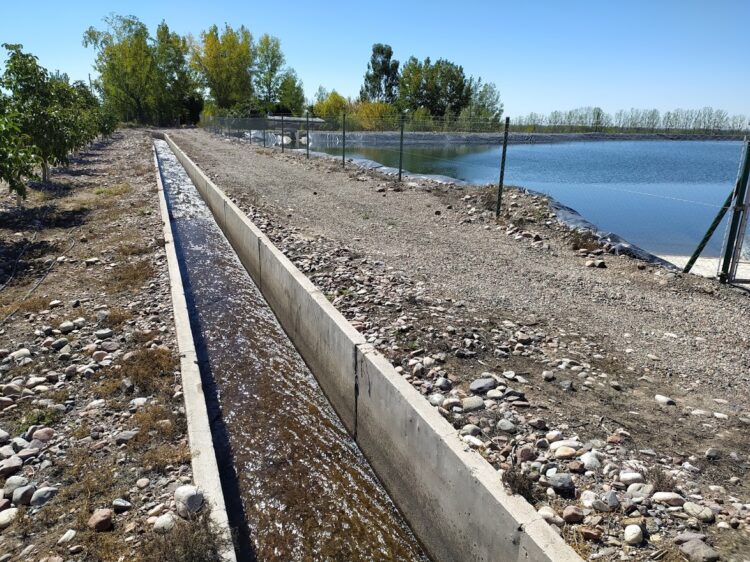 Una empresa de transporte invirtió fuerte en el agro: El proyecto Qnuts parece ir a contramano, pero no