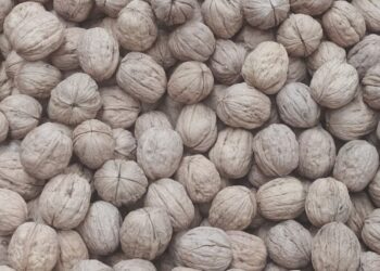 Perú aceptará dos productos agropecuarios argentinos: los cítricos y las nueces