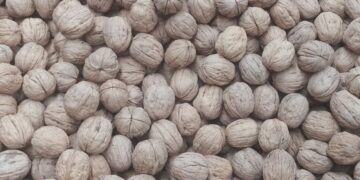 Perú aceptará dos productos agropecuarios argentinos: los cítricos y las nueces