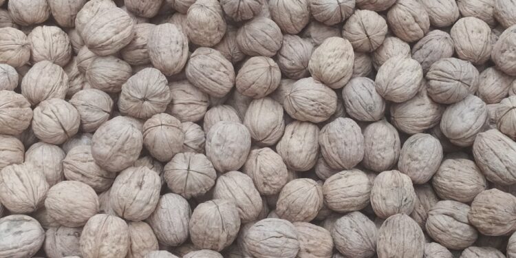 Perú aceptará dos productos agropecuarios argentinos: los cítricos y las nueces