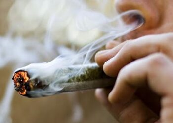 Una conversación entre fumones: El gobernador de Jujuy propone reemplazar el tabaco por cannabis y los tabacaleros lo miran con cierta perplejidad