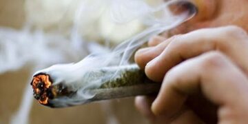 Una conversación entre fumones: El gobernador de Jujuy propone reemplazar el tabaco por cannabis y los tabacaleros lo miran con cierta perplejidad